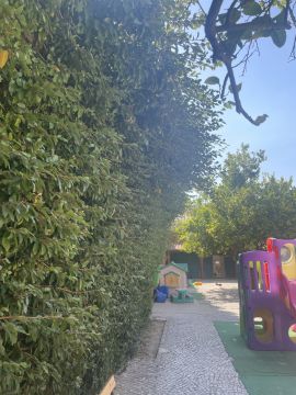 Jardinagem e Relvados