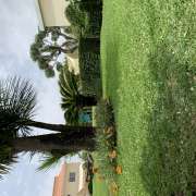 MR Work - Montijo - Shrub Removal
