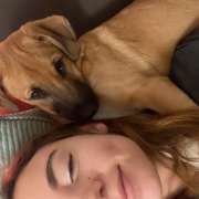Matilde da Silva - Almada - Dog Hotel