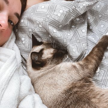 THE CAT SITTING - Vila Nova de Gaia - Cat Sitting