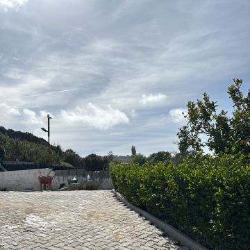 Elielton Henrique - Sintra - Servicios de parrilla y barbacoa