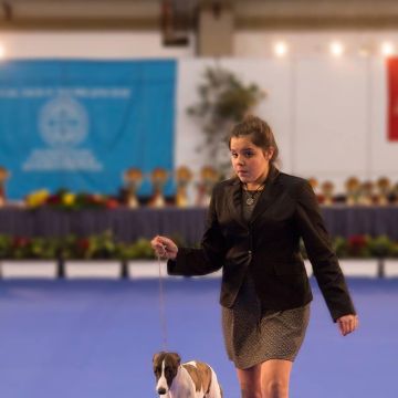 Júlia Matias - Lisboa - Adiestramiento de perros - Clases privadas