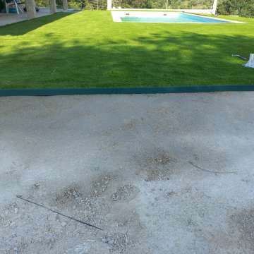 Filipe C. - Vila Nova de Gaia - Tree Trimming and Maintenance