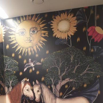 Trilhos de Decoração - Silves - Instalación de papel pintado