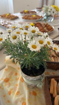 Chef Tatiana Eventos - Gondomar - Catering ao Domicílio