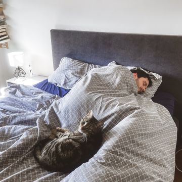 THE CAT SITTING - Vila Nova de Gaia - Pet Sitting and Walking