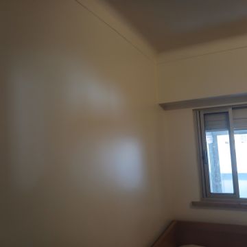R&S Construções - Amadora - Remoção de Arbustos