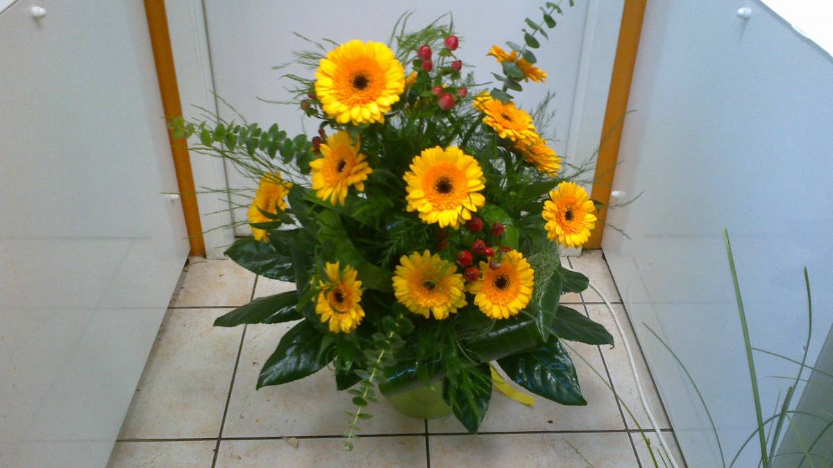 Eva M - Odivelas - Florists