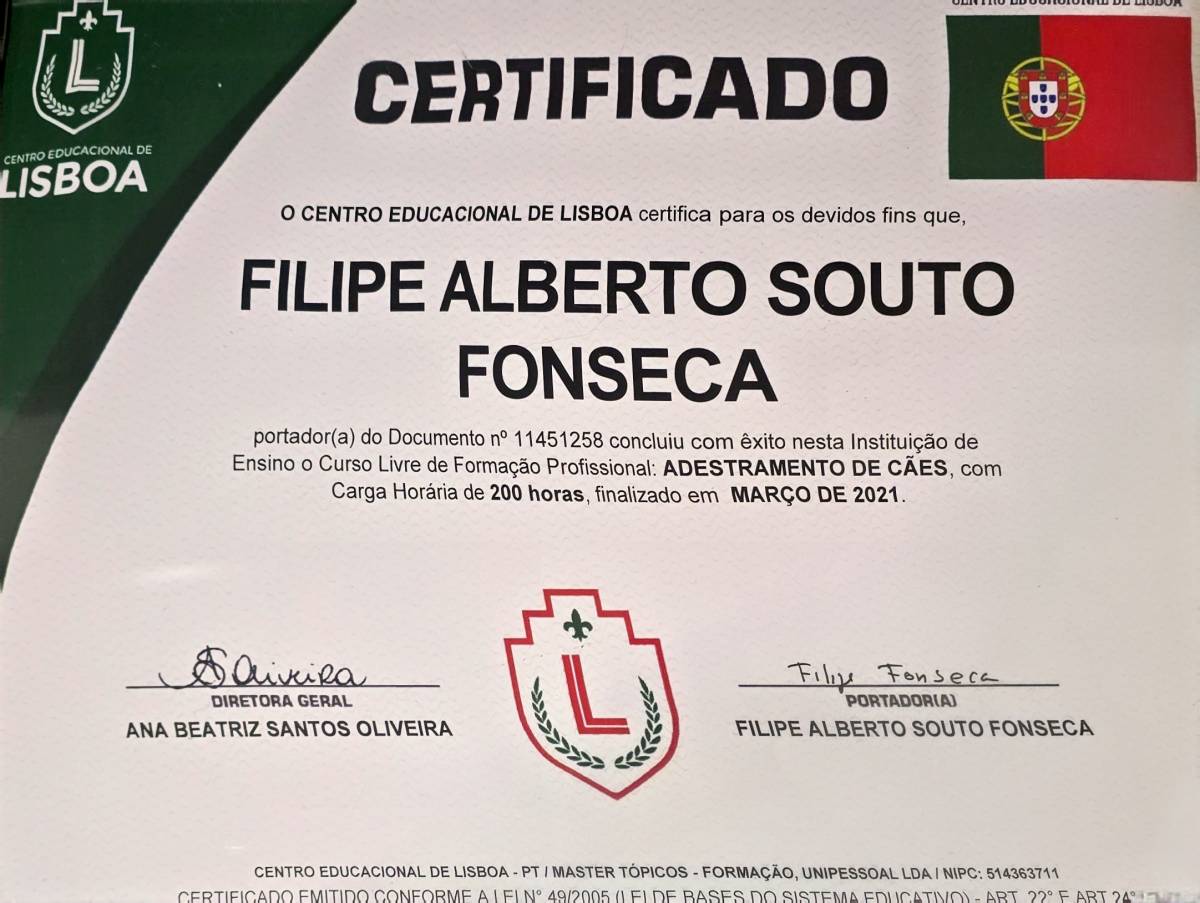 Filipe Fonseca Treinador de cães - Santo Tirso - Treino de Cães - Aulas