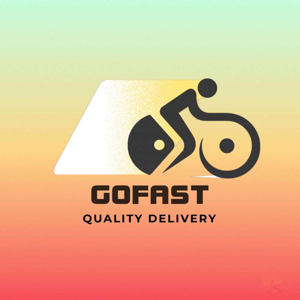 GoFast - Vila Nova de Gaia - Motorista
