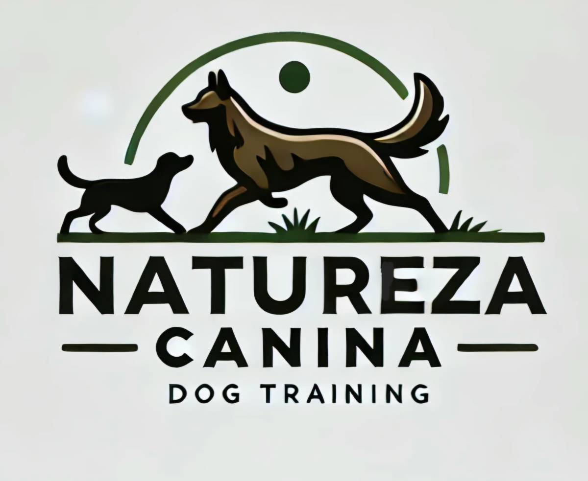 Filipe Fonseca Pousada canina - Santo Tirso - Adiestramiento de perros - Clases privadas