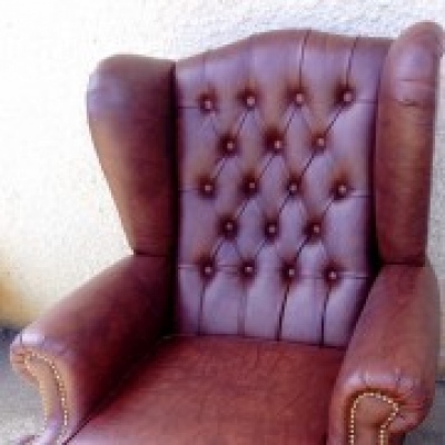 Paula Silva - Águeda - Leather Repair Conditioning and Restoration