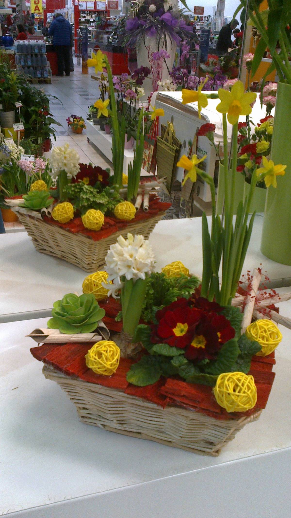 Eva M - Odivelas - Florists