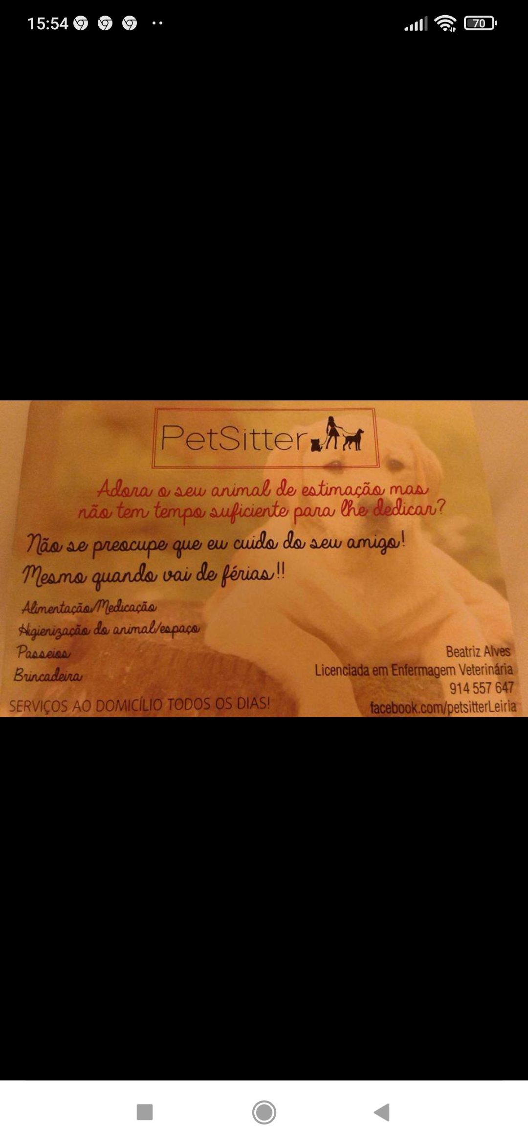 Beatriz Alves - Leiria - Dog Daycare