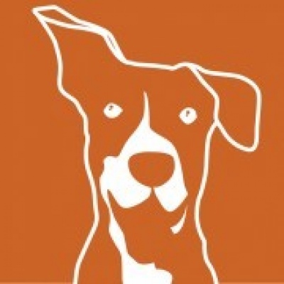 João Fernandes - Adestramento e Treino Canino, Terapia Comportamental - Oeiras - Treino de Cães - Aulas