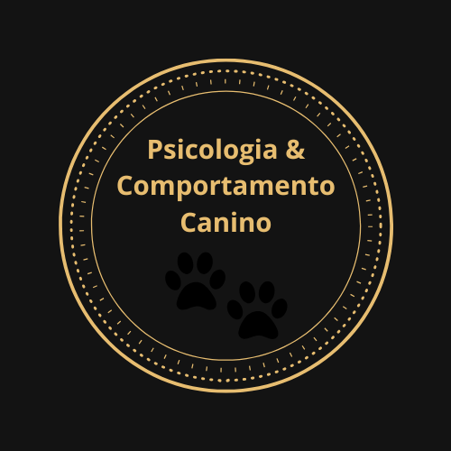 Telmo Oliveira - Montijo - Hundetraining - Privatunterricht