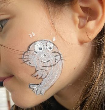 Amazing - Festas&Eventos - Caldas da Rainha - Aluguer de Insufláveis para Festas