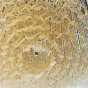 Panguana - Loures - Lampeninstallation