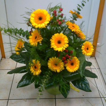 Eva M - Odivelas - Florists
