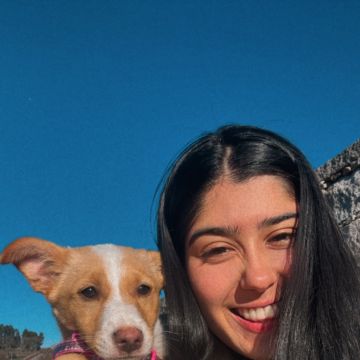 Leticia - Vila Nova de Paiva - Hundepension