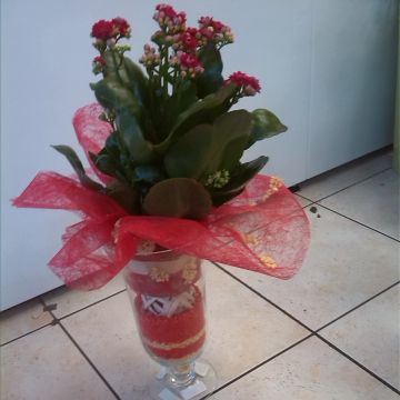 Eva M - Odivelas - Event Florist