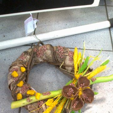 Eva M - Odivelas - Florists