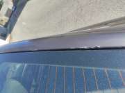 Car Painter