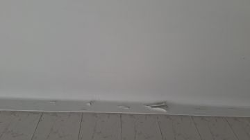 Pintor de Casas