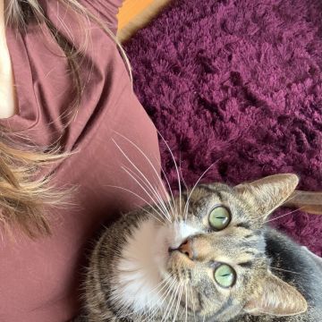 Pet sitter - Cascais - Pet Sitting e Pet Walking