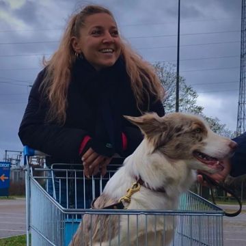 arcanine treino canino ao domicilio em Leiria/Alcobaça - Alcobaça - Animal Training and Behavior Modification (Non-canine)