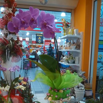 Eva M - Odivelas - Arts and Crafts Lessons
