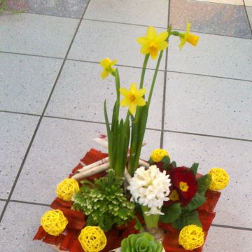 Eva M - Odivelas - Arts, Flowers and Crafts Lessons