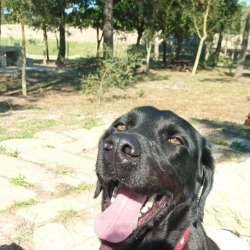 Espalhargumento Unipessoal Lda - Póvoa de Varzim - Private Detective