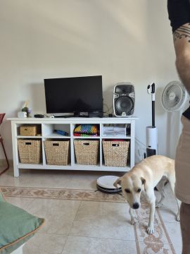 Garderie pour chiens