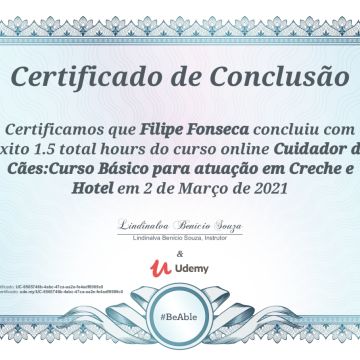 Filipe Fonseca Pousada canina - Santo Tirso - Paseador de perros