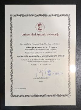 Filipe Fonseca Treinador de cães - Santo Tirso - Dog Walking