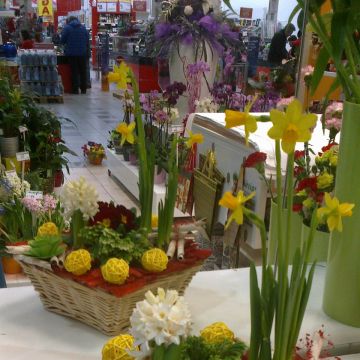 Eva M - Odivelas - Florists