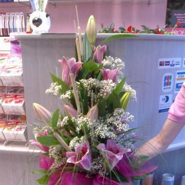 Eva M - Odivelas - Wedding Florist