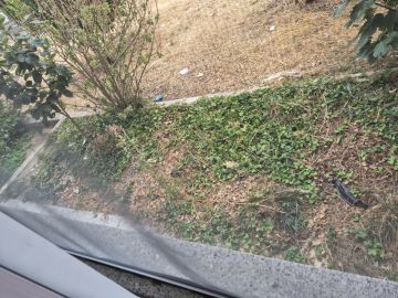 Jardinagem