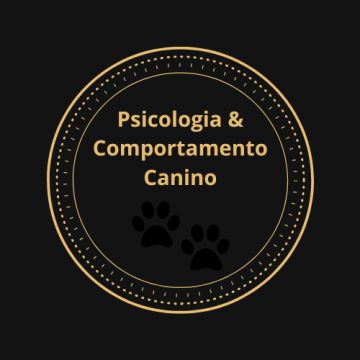 Telmo Oliveira - Montijo - Hundetraining - Privatunterricht