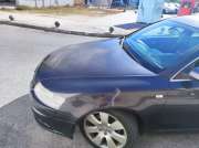 Car Painter
