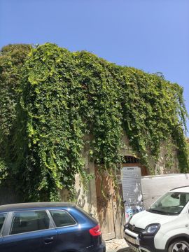 Jardinagem e Relvados
