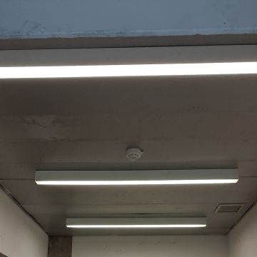 Eronildo Borracha - Seixal - Cableado