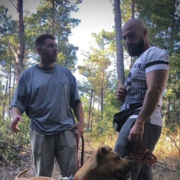 arcanine treino canino ao domicilio em Leiria/Alcobaça - Alcobaça - Animal Behavior Modification