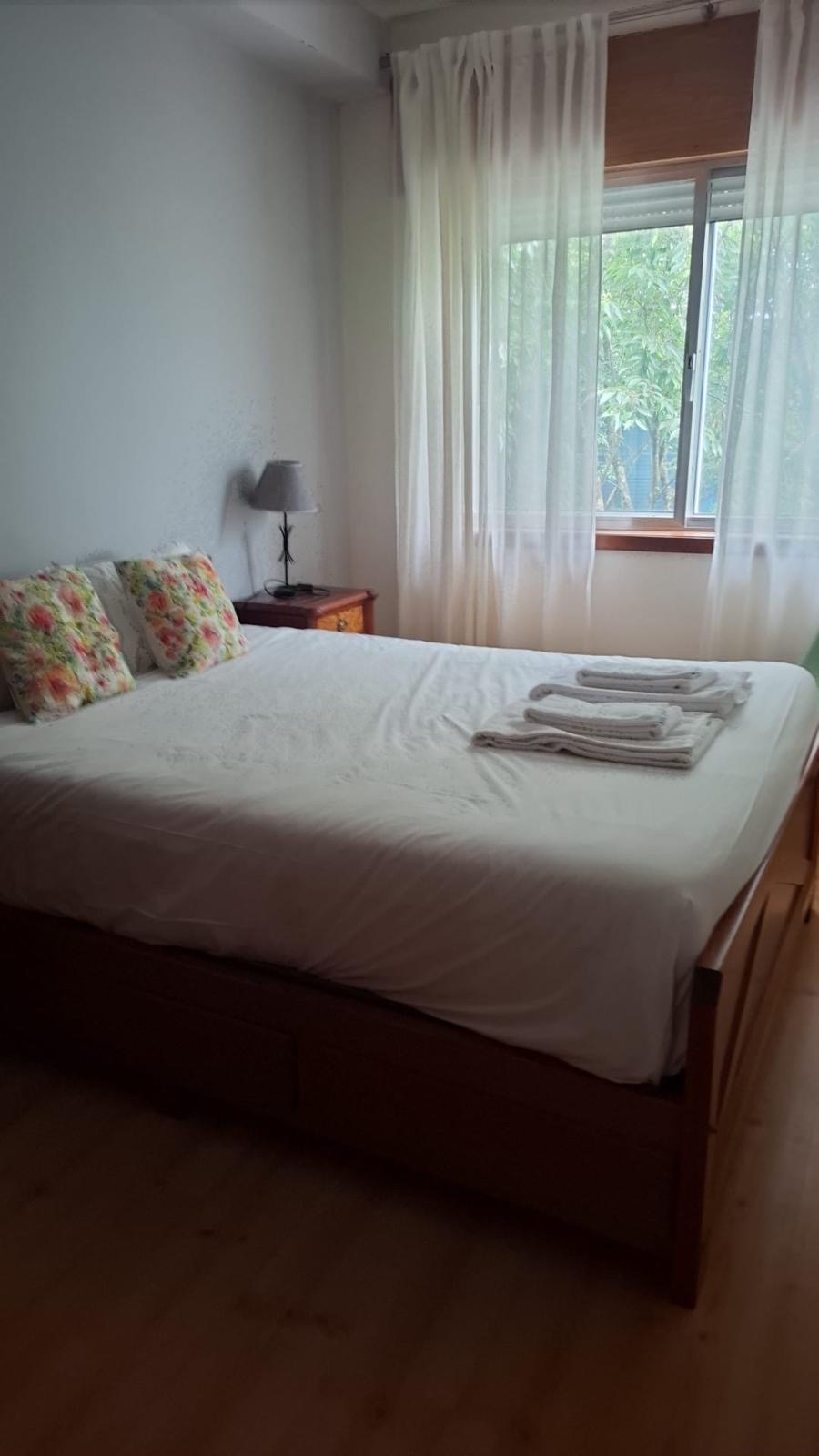 Profissional de limpeza e housekeeping - Porto - Limpieza de ventanas