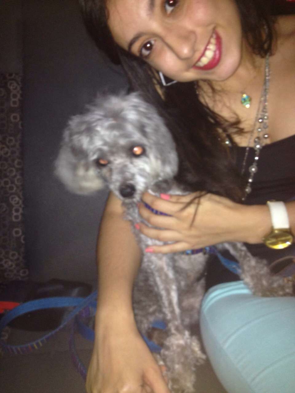 Priscilla correa - Porto - Pet Sitting