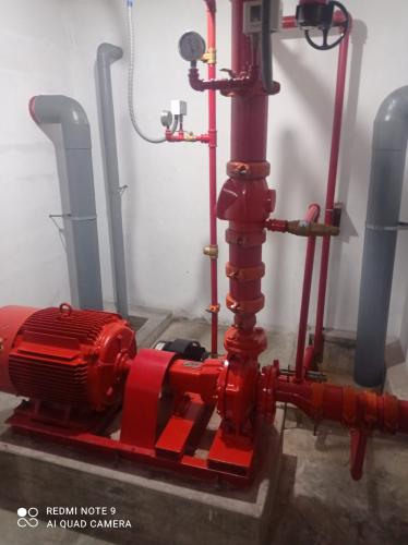 Grupo Alvarado - Lisboa - Wasserpumpe installieren oder austauschen