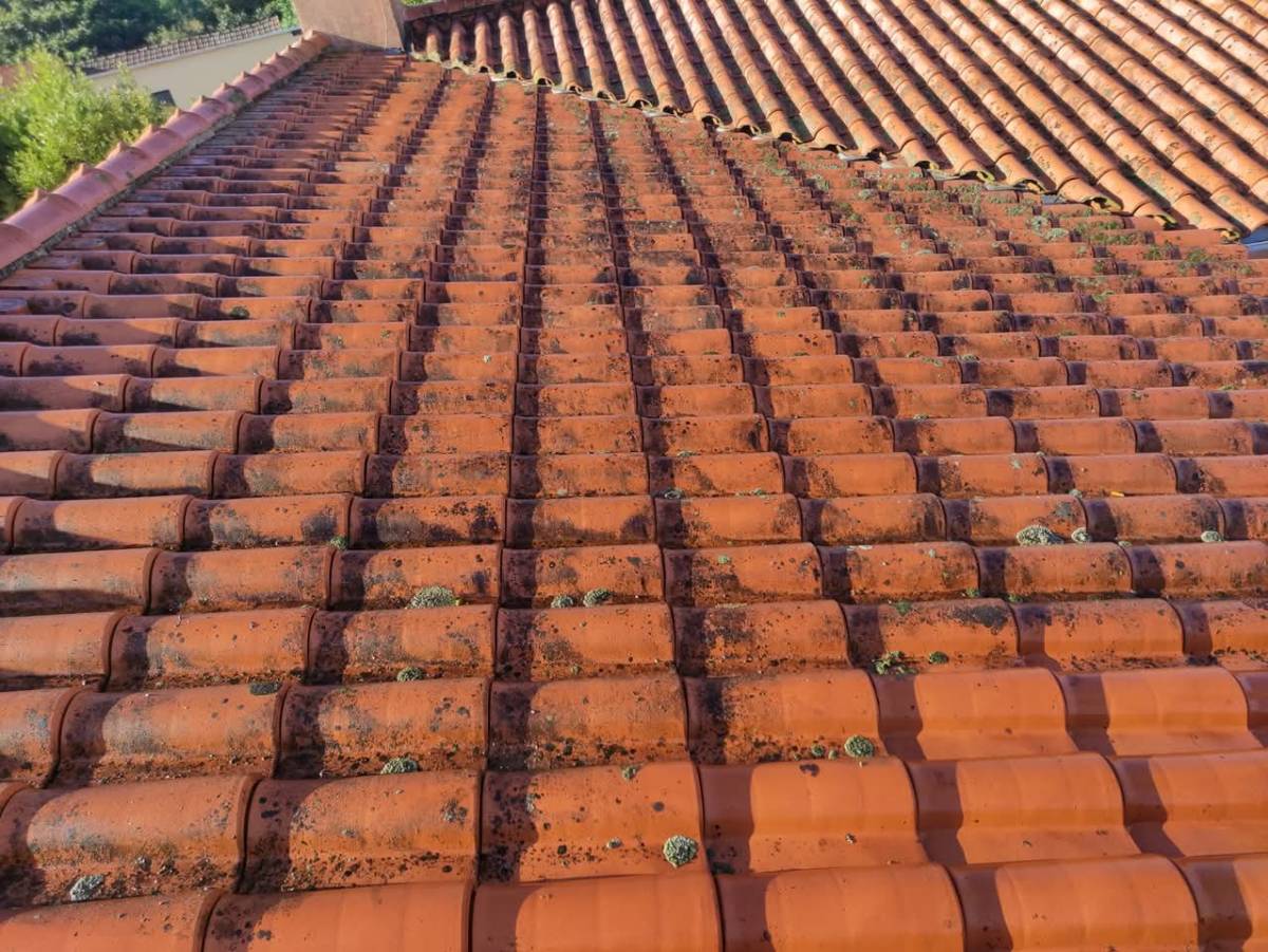 Construções J y C - Estarreja - Möbelmontage