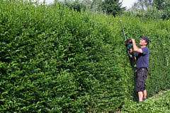 RicSilva Construção e manutenção de jardins - Gondomar - Multi Service Lawn Care
