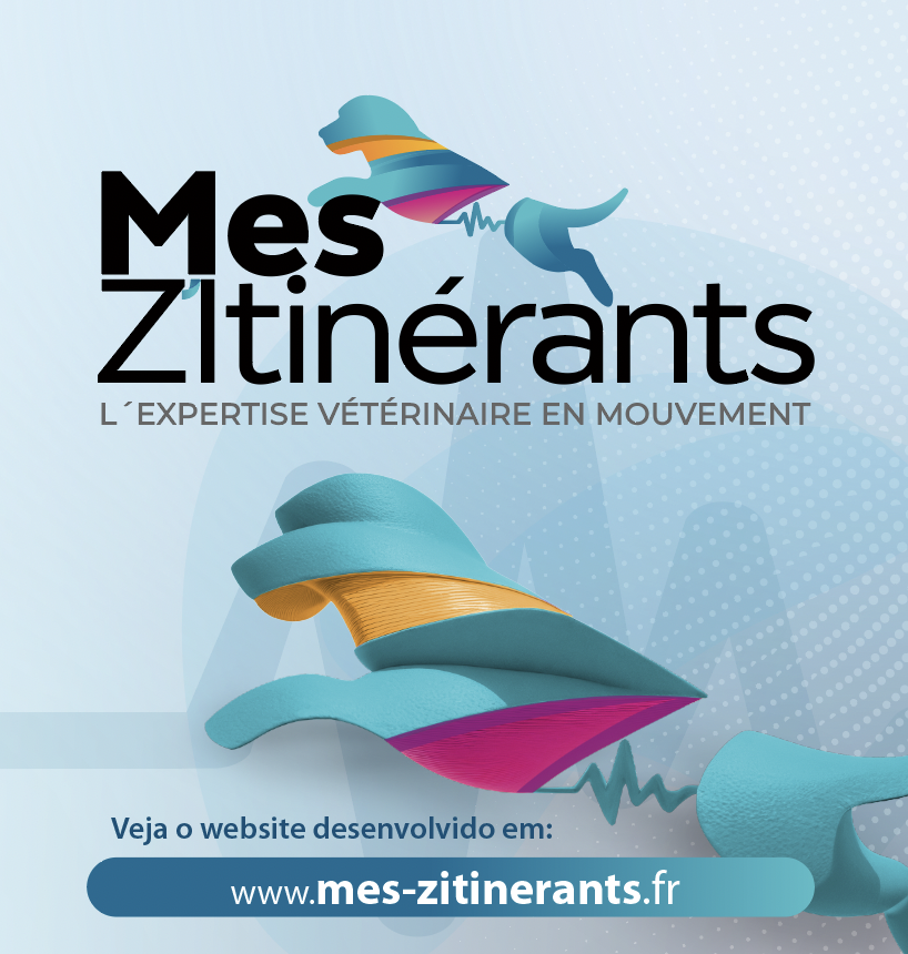 Helena Matos - Sintra - Grafikdesign